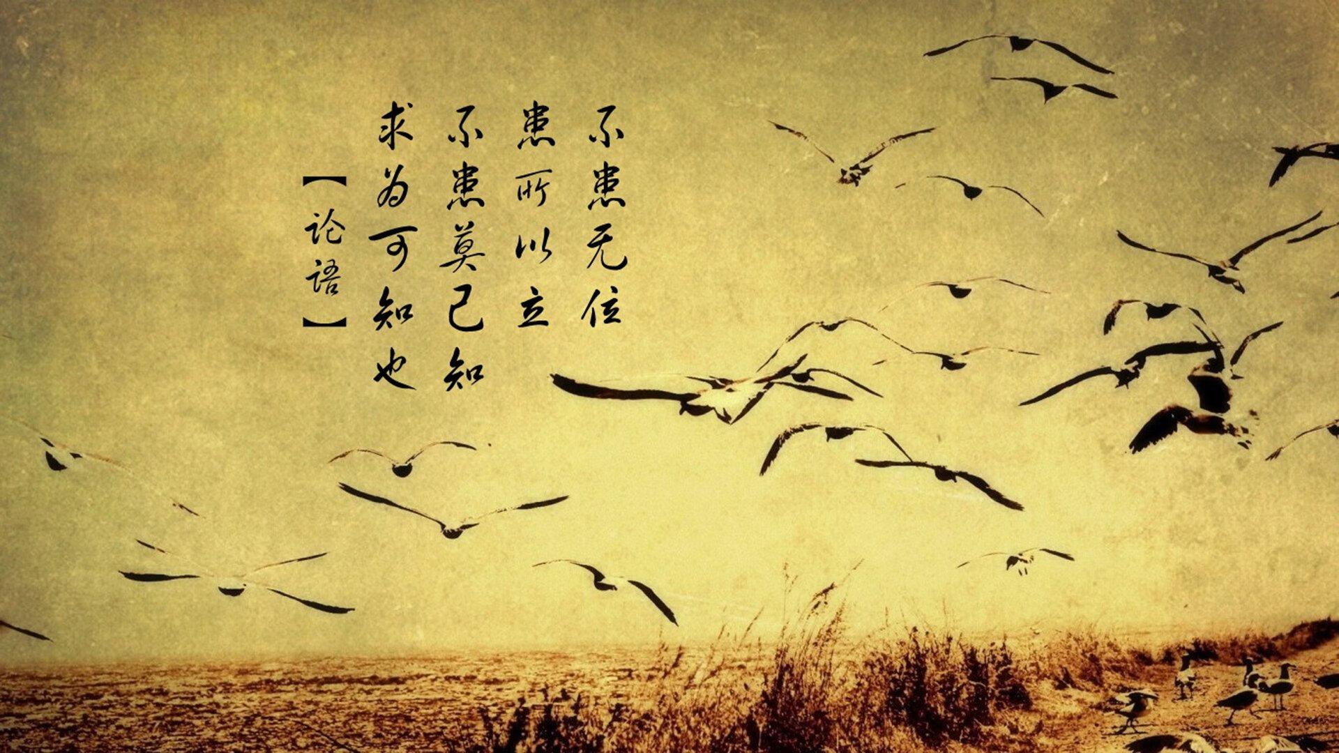 爱游戏体育-曼城遭遇挑战，险胜热刺取得宝贵三分，曼城vs热刺联赛杯决赛视频直播