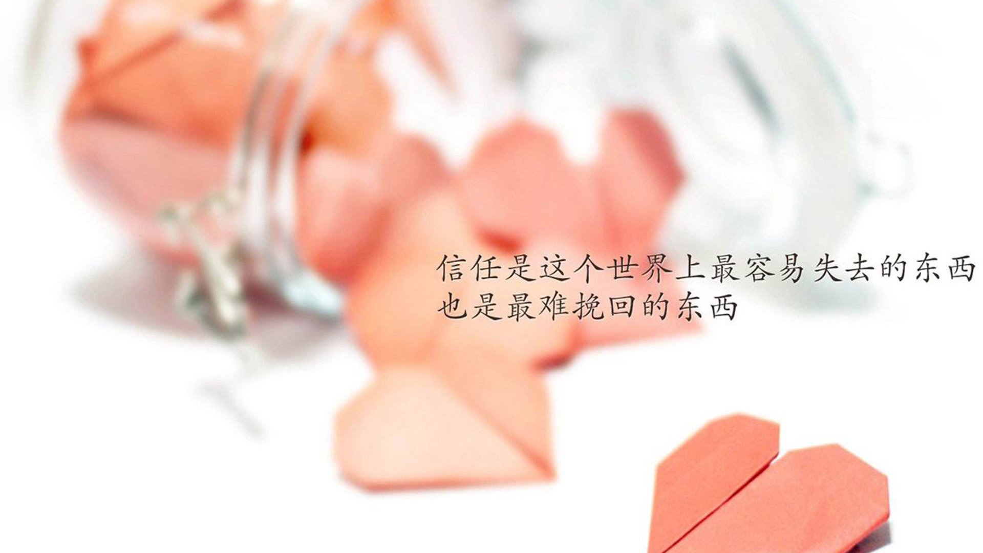 突尼斯联赛观众热情高涨，突尼斯ok