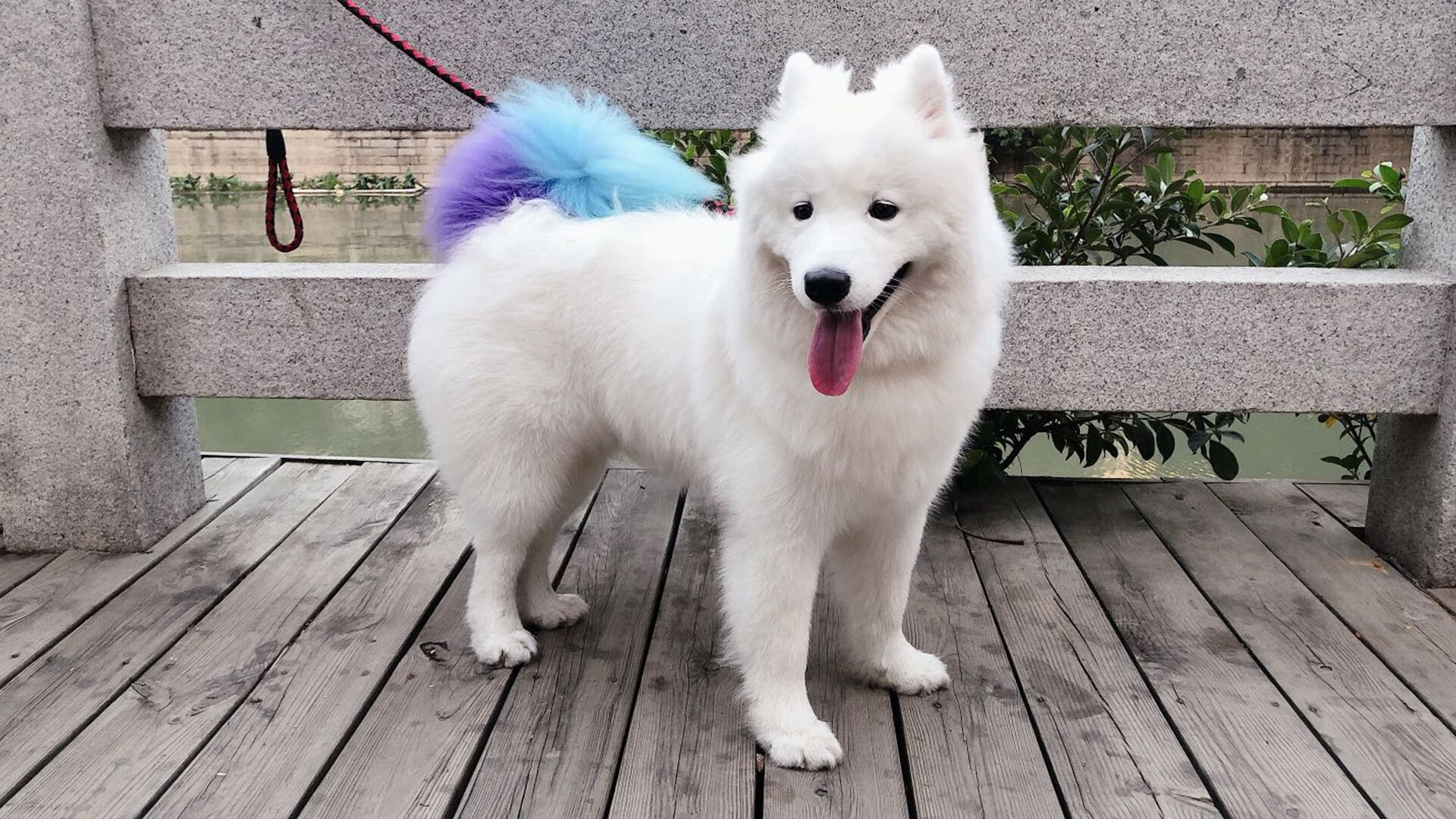 环法自行车赛落幕，法国选手夺冠，环法自行车赛落幕,法国选手夺冠了吗