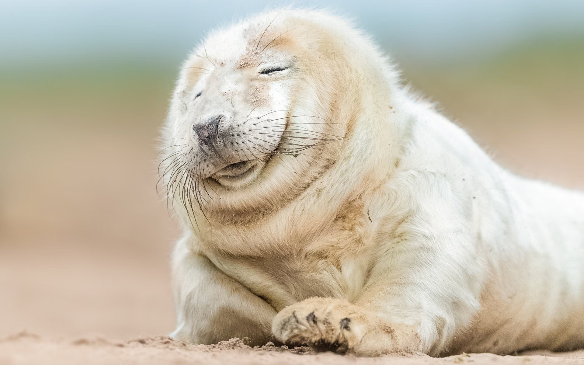 青少年体育社交平台用户行为特征及体验优化研究，青少年体育市场