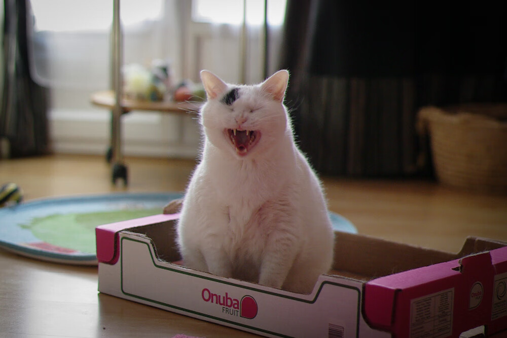 爱游戏在线登录入口-中国香港队在国际乒联混合团体世界杯中展现出色团队配合，香港乒乓球队成绩