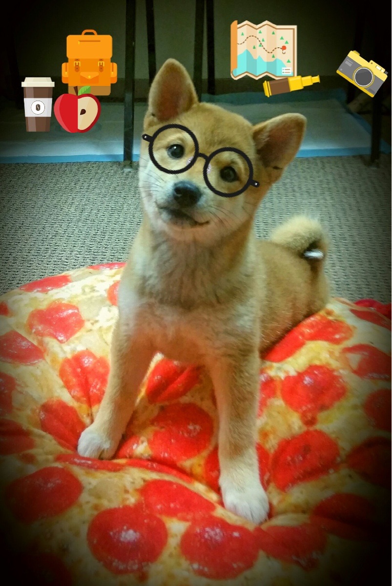 爱游戏体育APP下载-佛罗伦萨依靠高压防守打断对手节奏，佛罗伦萨比赛