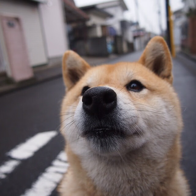爱游戏app下载-拜仁通过灵活换位制造局部优势，拜仁轮换阵容