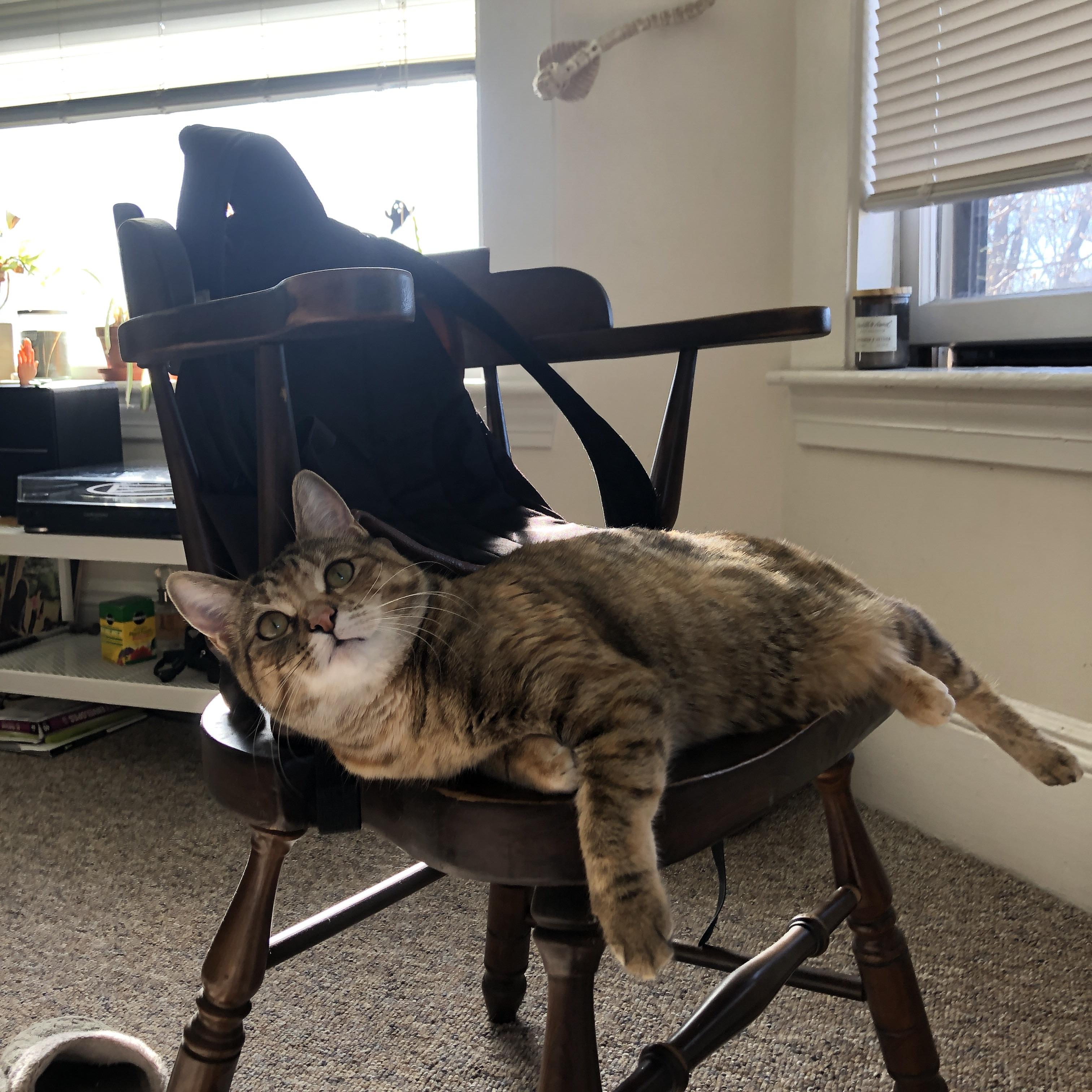 欧洲乒坛迎来新变革,赛制更新引热议,欧洲乒乓球锦标赛2021赛程