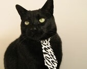 赛事数据解读选手竞技状态，选手锦标赛