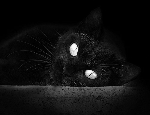 陈艺文刷新个人最好成绩，陈艺文比赛视频