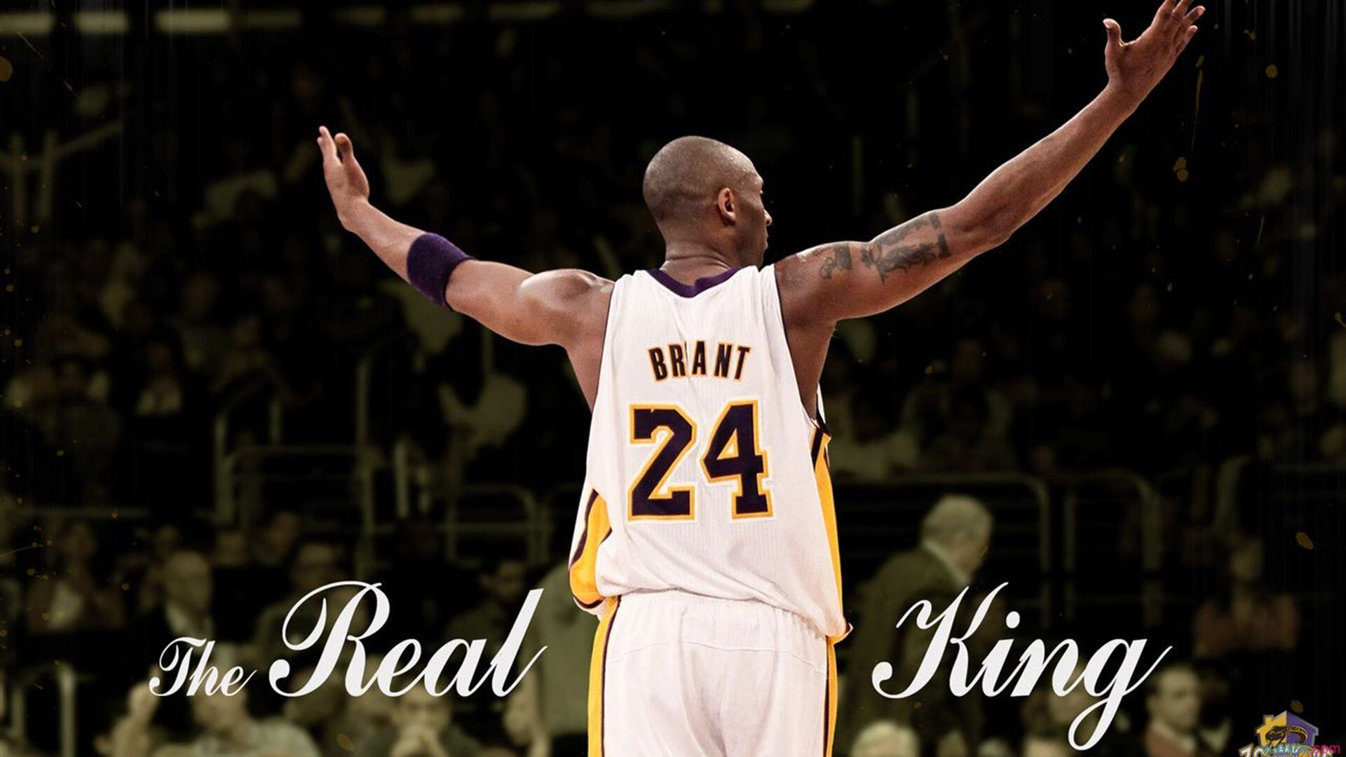 冲刺划频提升技术动作分析，冲刺动作要领